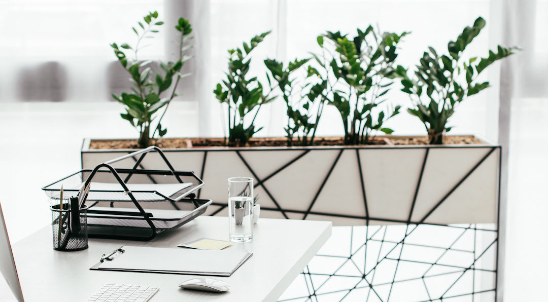 Are Plants Good for the Workplace? The Benefits of Plants in Your Office