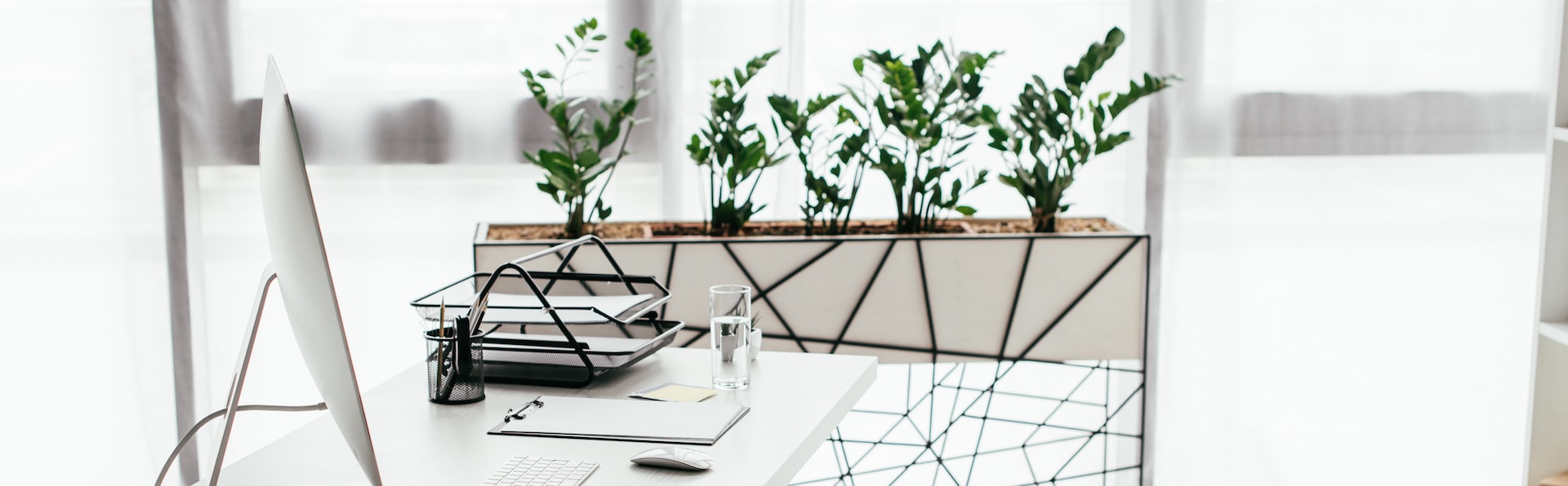 Are Plants Good for the Workplace? The Benefits of Plants in Your Office